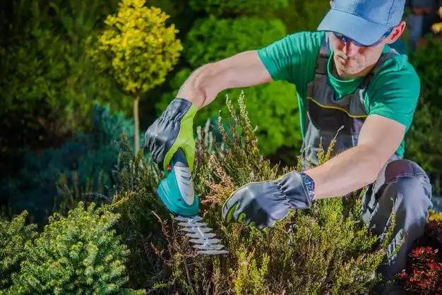 landscaping services Brandon
